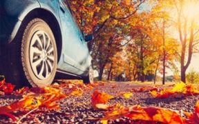 voiture sans permis